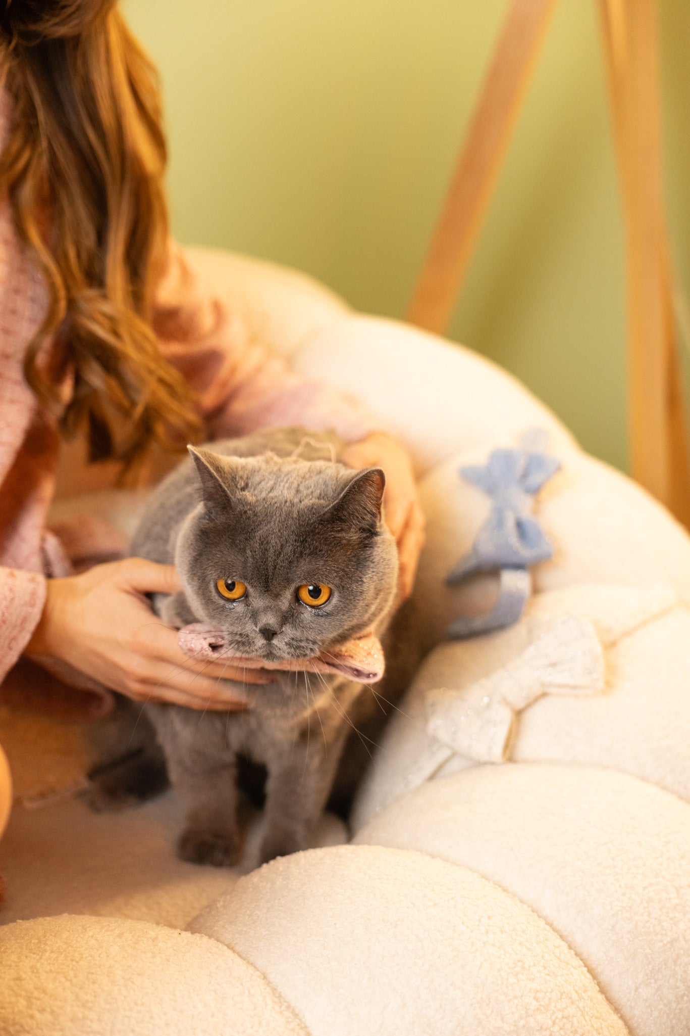 Панделка за домашен любимец от букле